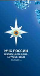 images/mchs.png