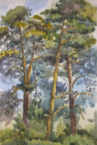 Пленэр - 2019